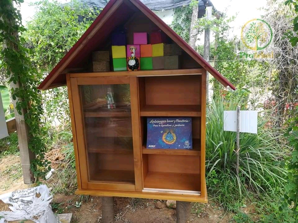 Estante de libros en madera