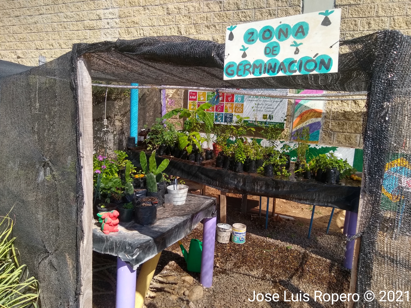 Zona de germinacion de verduras del huerto
