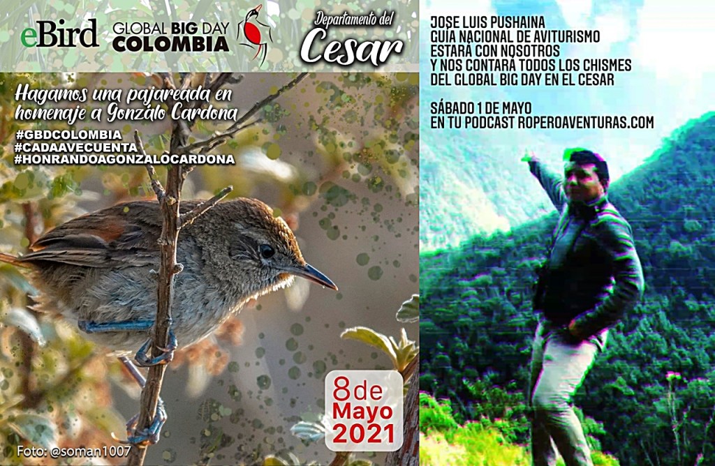 «En el Global Big Day todos podemos participar»: José Luis Pushaina