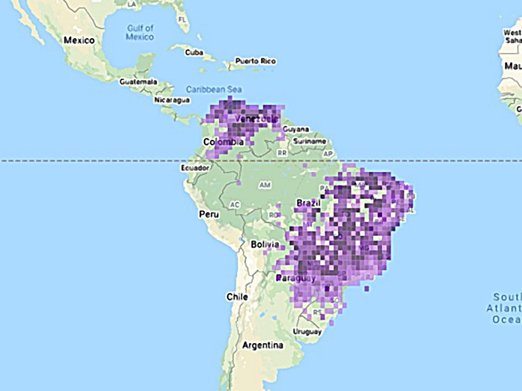 Mapa de distribución de una especie de paloma en Suramérica.