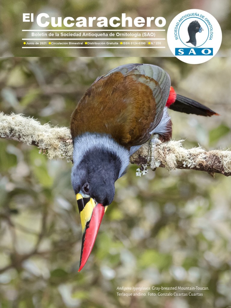 Revista El Cucarachero, 30 años contando historias de las aves colombianas