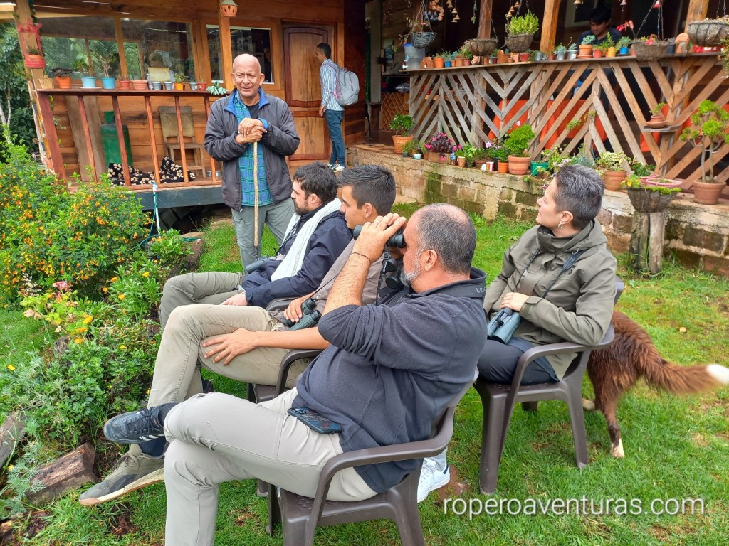 Mashiramo: birding y senderismo en el&nbsp;Perijá