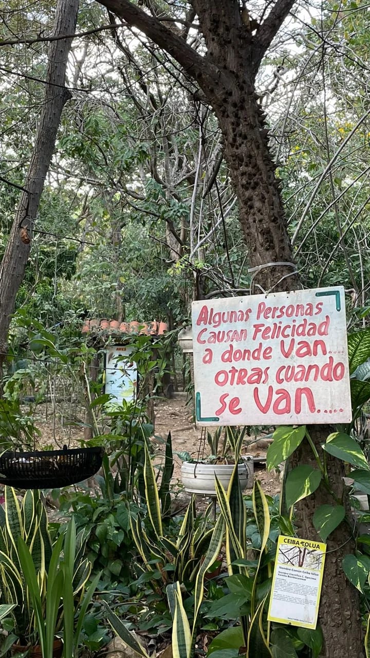 Jardín boscoso con mensajes.
