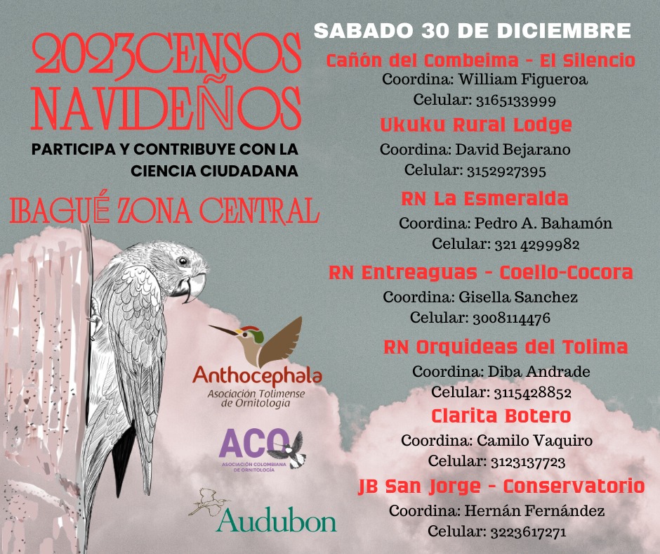 Invitación para una actividad de observación de aves.