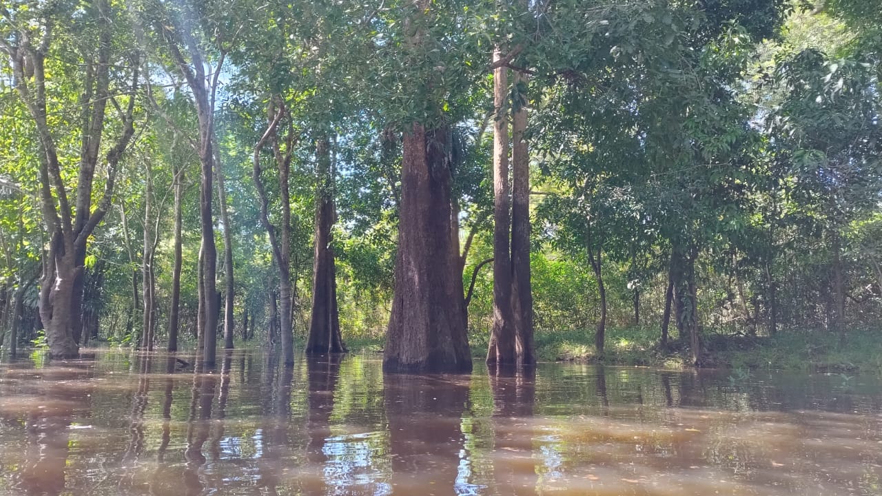 Creciente del río Amazonas, en Colombia.