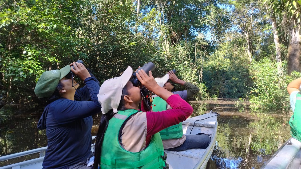 Tres observadores de aves navegando un río en canoa.