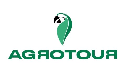 Logotipo de fondo blanco y letras grises