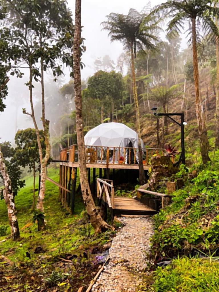 Carpa glamping en una ladera de montaña con vegetación tropical.