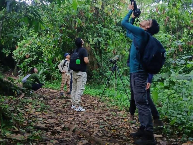 Global Big Day 2025 en Los&nbsp;Tananeos