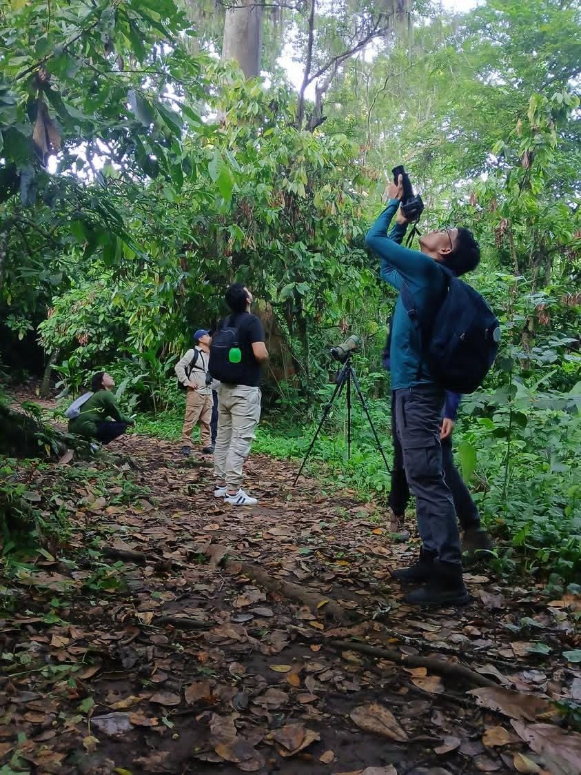 Grupo de observadores de aves en el bosque.