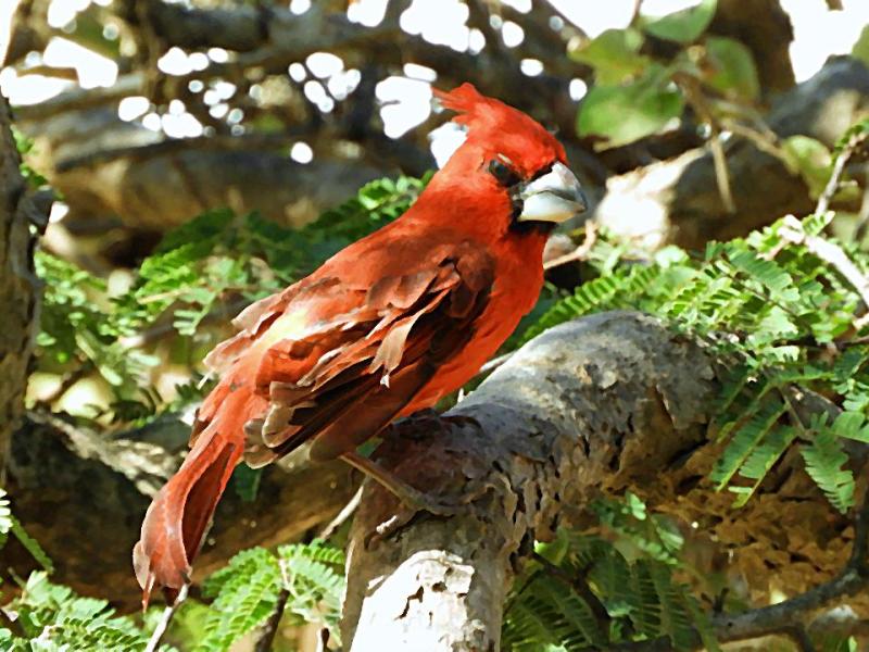 Itinerario de educación ambiental en Riohacha: biodiversidad, historia y etnia&nbsp;wayuú